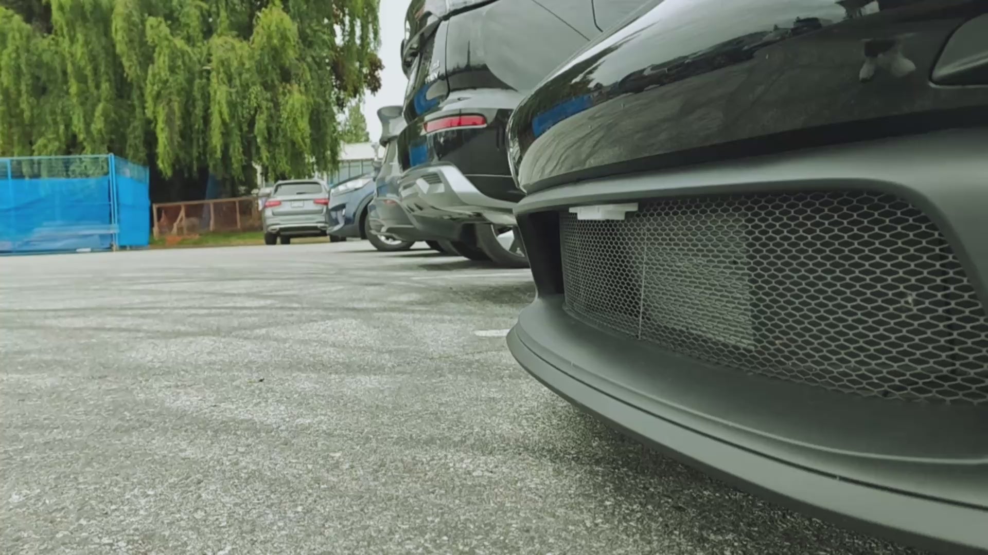 Perf Plate Magnetify™ Plate Holder (Pre-Order) Invisible, No Drill